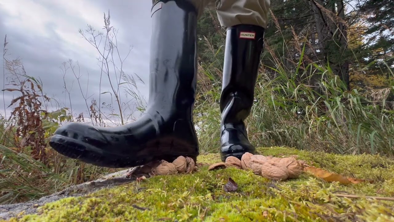 Smashing nuts with my Hunter rubber boots 🥜🌰