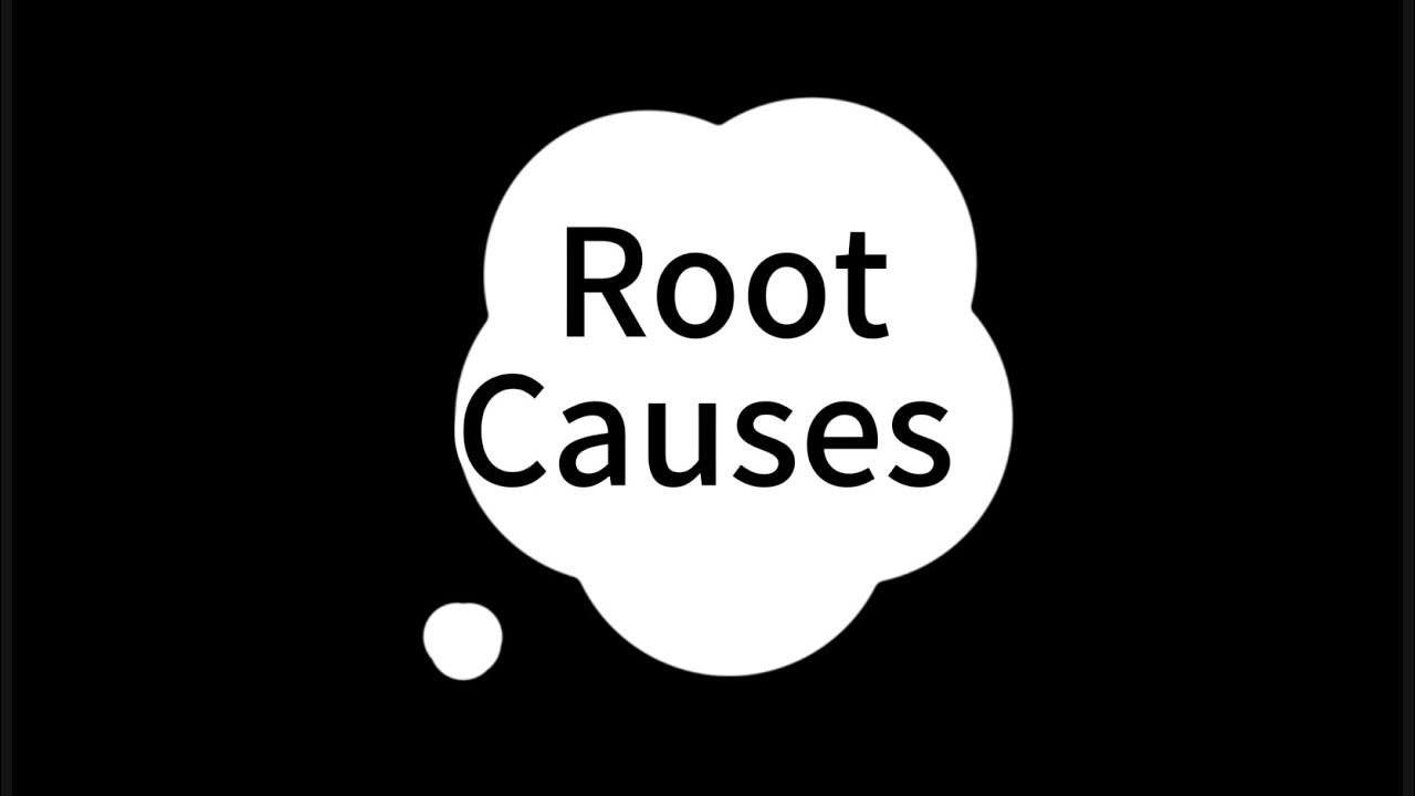 What are the root causes of the environmental crisis?