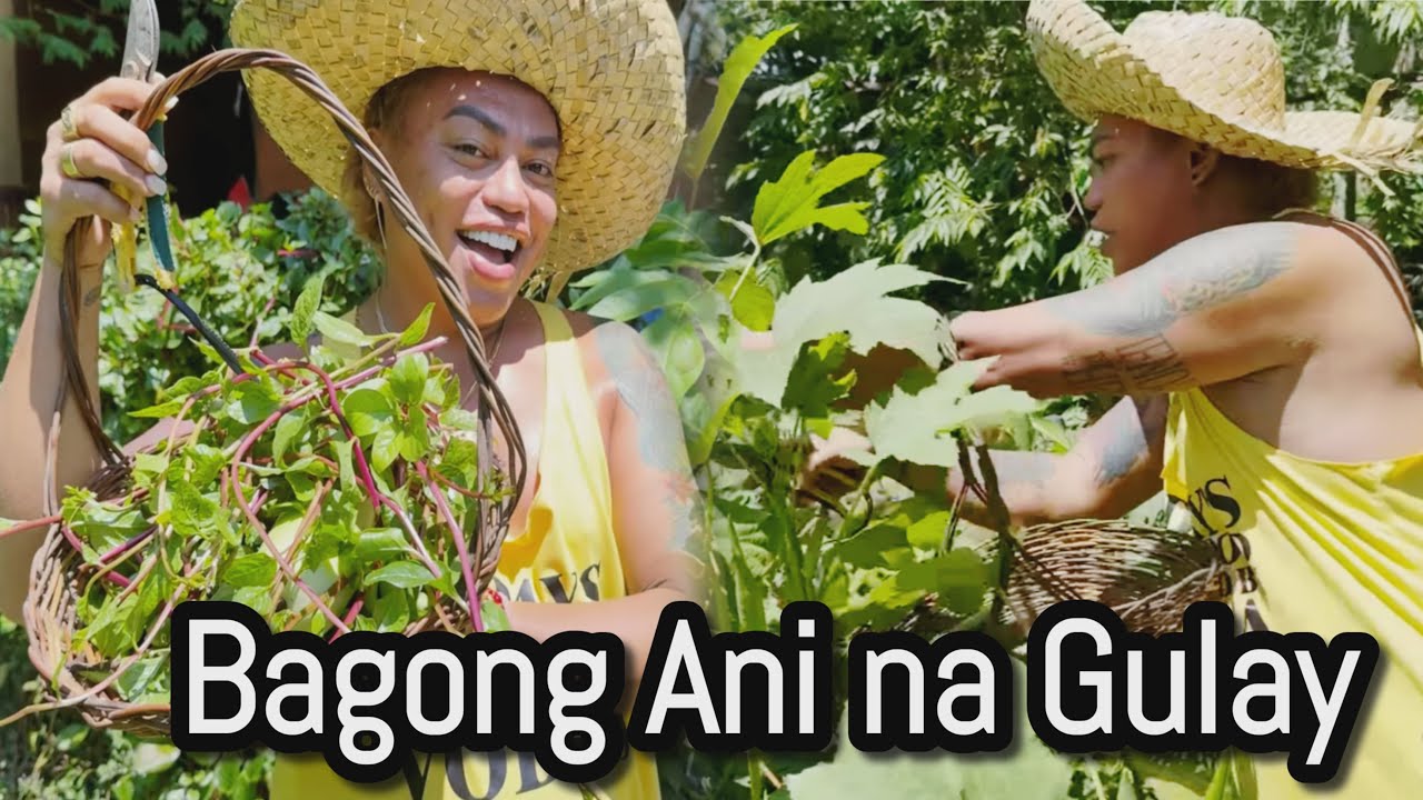 Bagong ani na Gulay sa Hardin.