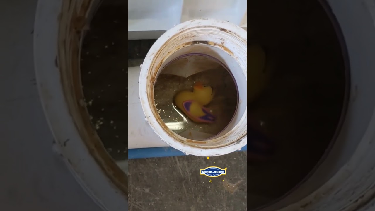 What happens when you flush toys #plumbing #willitflush #homerepair #rubberducks #funny #toilet #lol