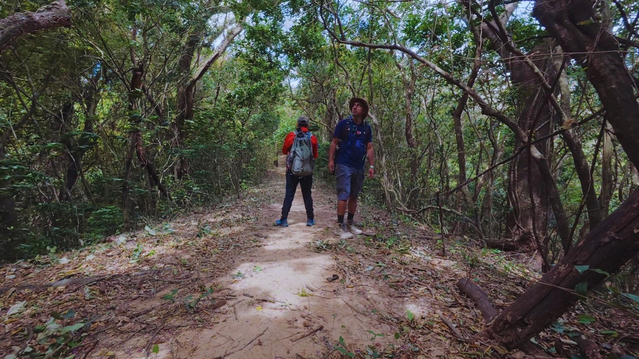 Explorando Senderos Colón 🇨🇷 | Aventura en la montaña