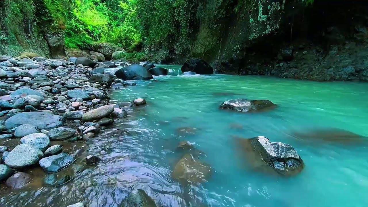 Mountain Stream Gentle Water Sounds, Forest River, Sleeping