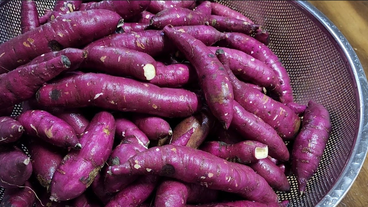 고구마를 찌거나 굽지 마세요!! 이렇게 만들었더니 살도 안찌고 건강하고 맛있어요/3가지 고구마요리(고구마양갱, 고구마조청,고구마묵쫀드기) Sweet potato dish