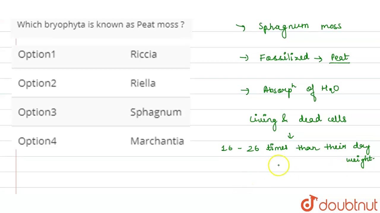 Which bryophyta is known as Peat moss ?