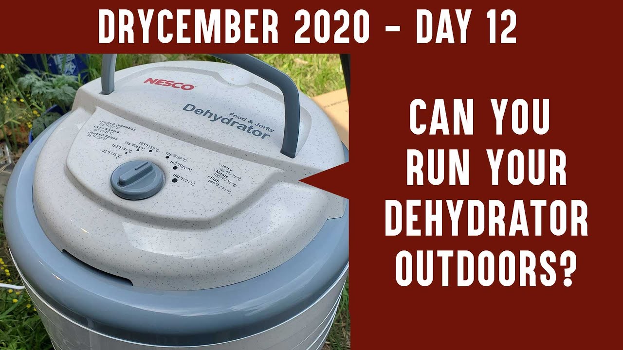 CAN YOU DEHYDRATE OUTDOORS? DRYCEMBER DAY 14 - Tips for using your dehydrator outside