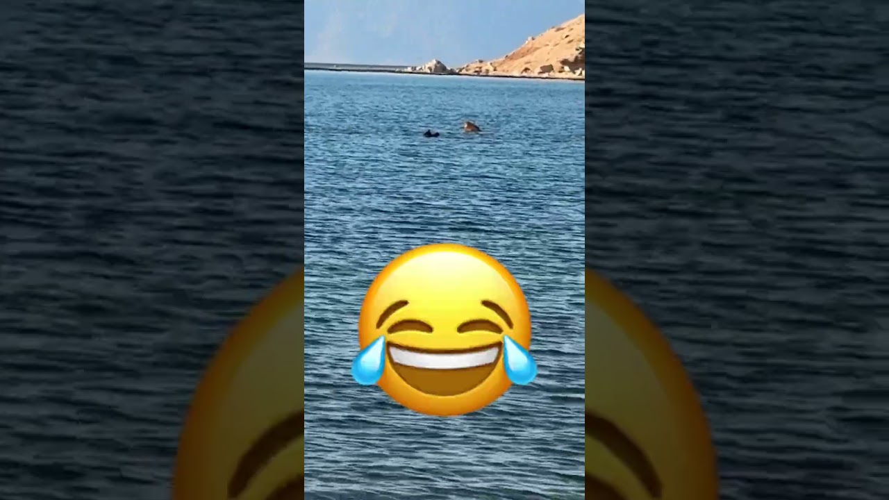 #الغروب في حقل