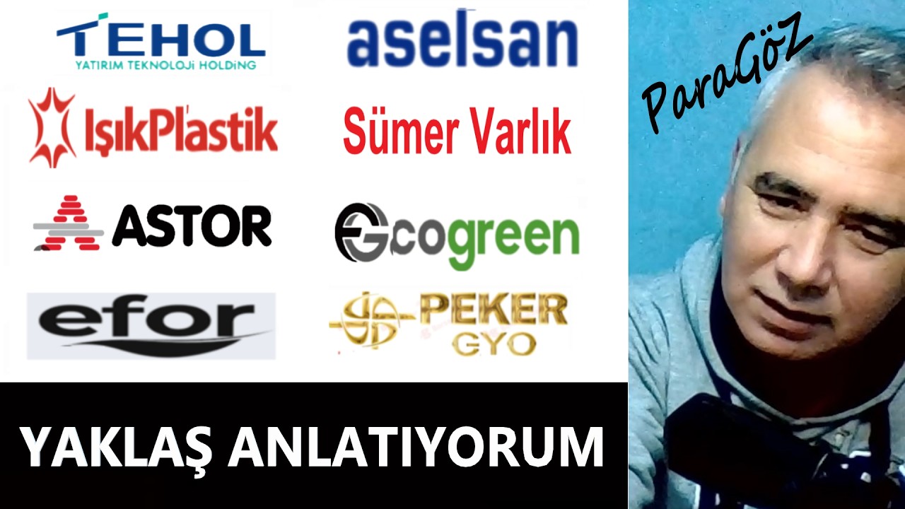 Tehol - Aselsan - Astor - EcoGreen - Efor - Peker Gyo - Işık Platik - S&uuml;mer Varlık Hisse Yorum