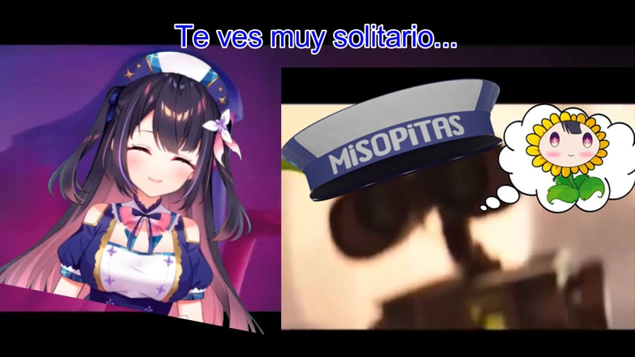El misopita que nunca se rindió