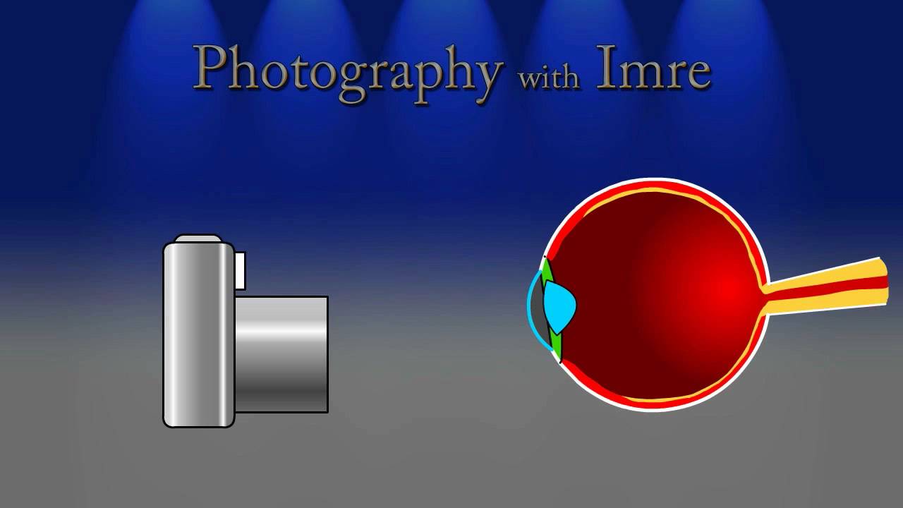 Flashes Part 3: Red-Eye - Photography with Imre - Episode 15