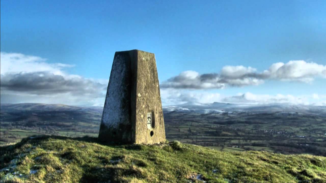 Year of the Dragon  (ドラゴンの年)