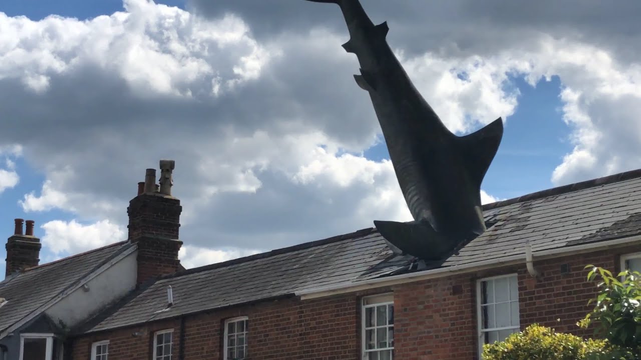 Headington Shark, Oxford, June 21st 2024