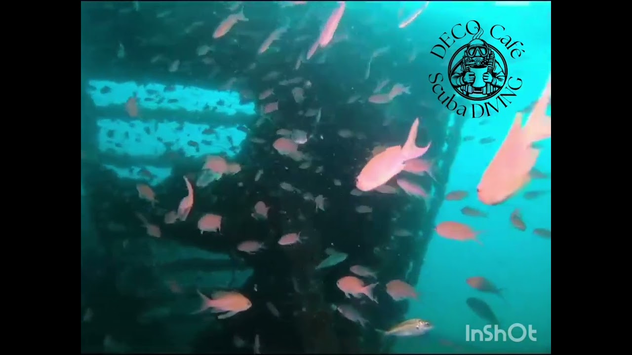 Wreck dive romance, Gibraltar water's treasure with DC Scuba Diving Spain 