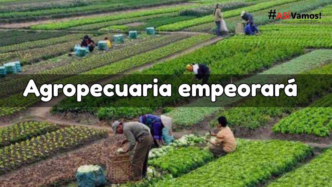 Agropecuaria empeorará - Así vamos