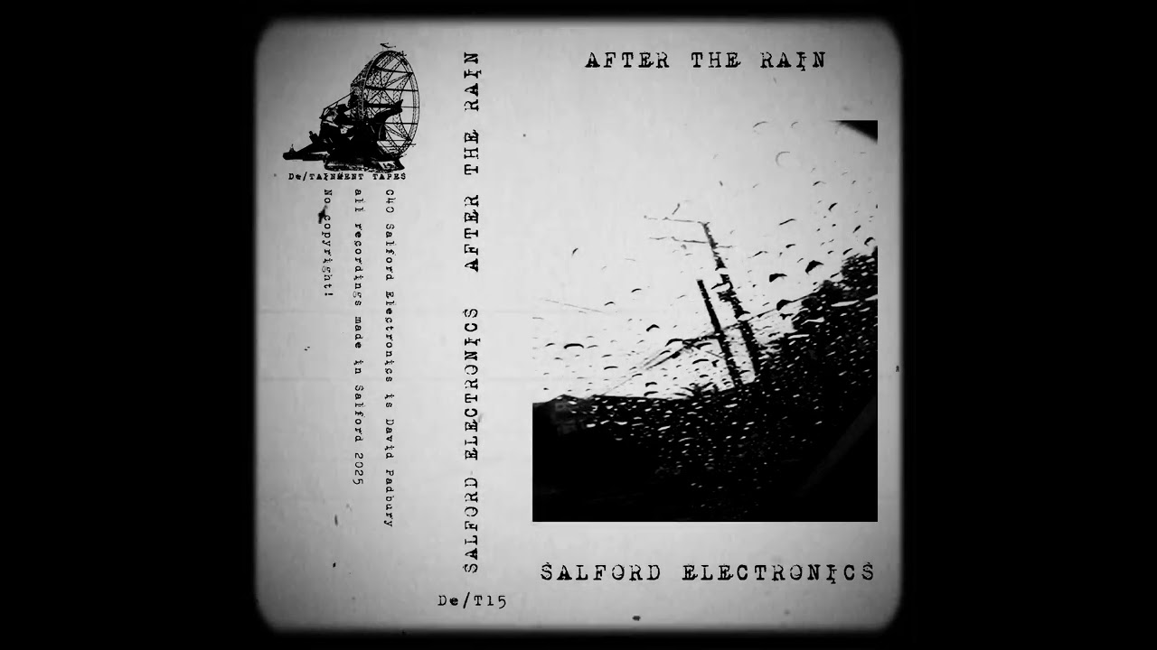 SALFORD ELECTRONICS - AFTER THE RAIN DT15