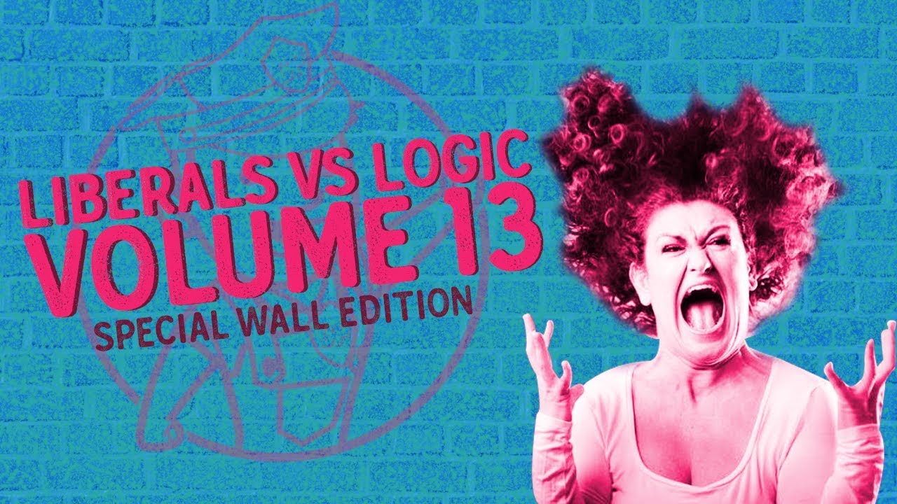 Liberals Hate The Wall | SJW OWNED 2019 FAILS | LIBERALS vs LOGIC COMPILATION Volume 13