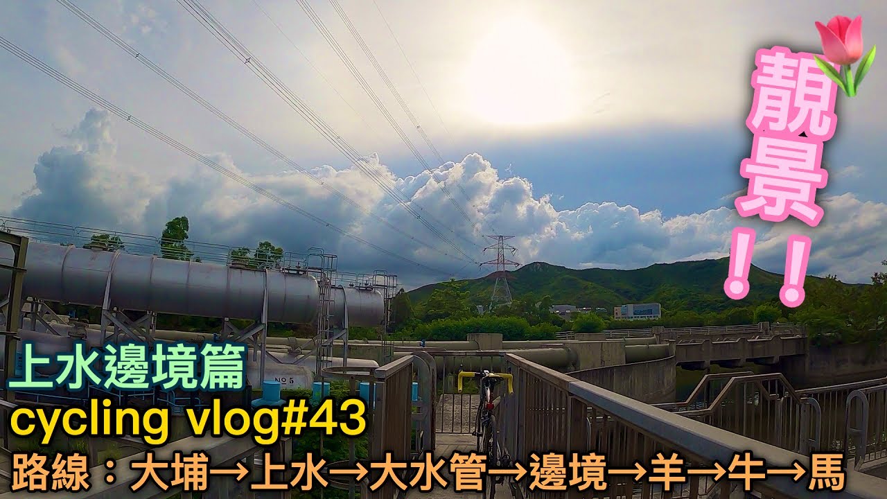 【cycling vlog】前往上水邊境！打卡聖地？！見到好多動物~│香港公路車EP.43(1440p)