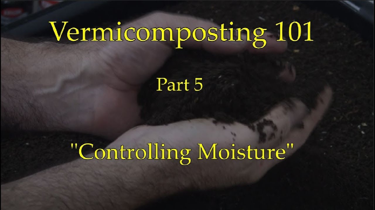 Vermicomposting 101    