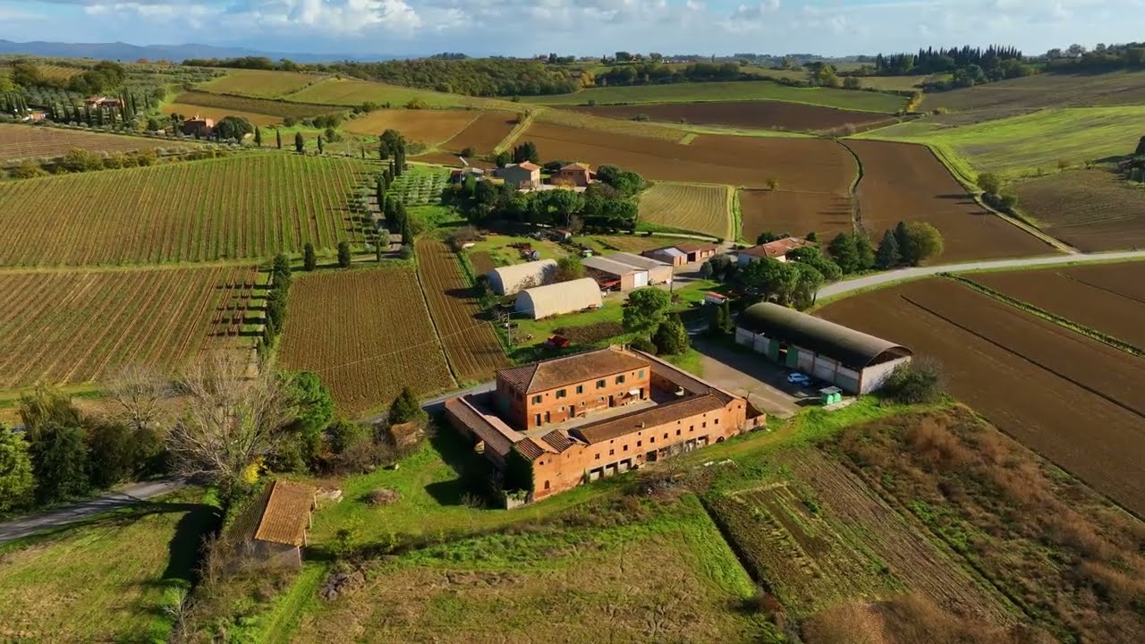 Azienda vitivinicola a Montepulciano vicino Siena | Winery in Montepulciano near Siena