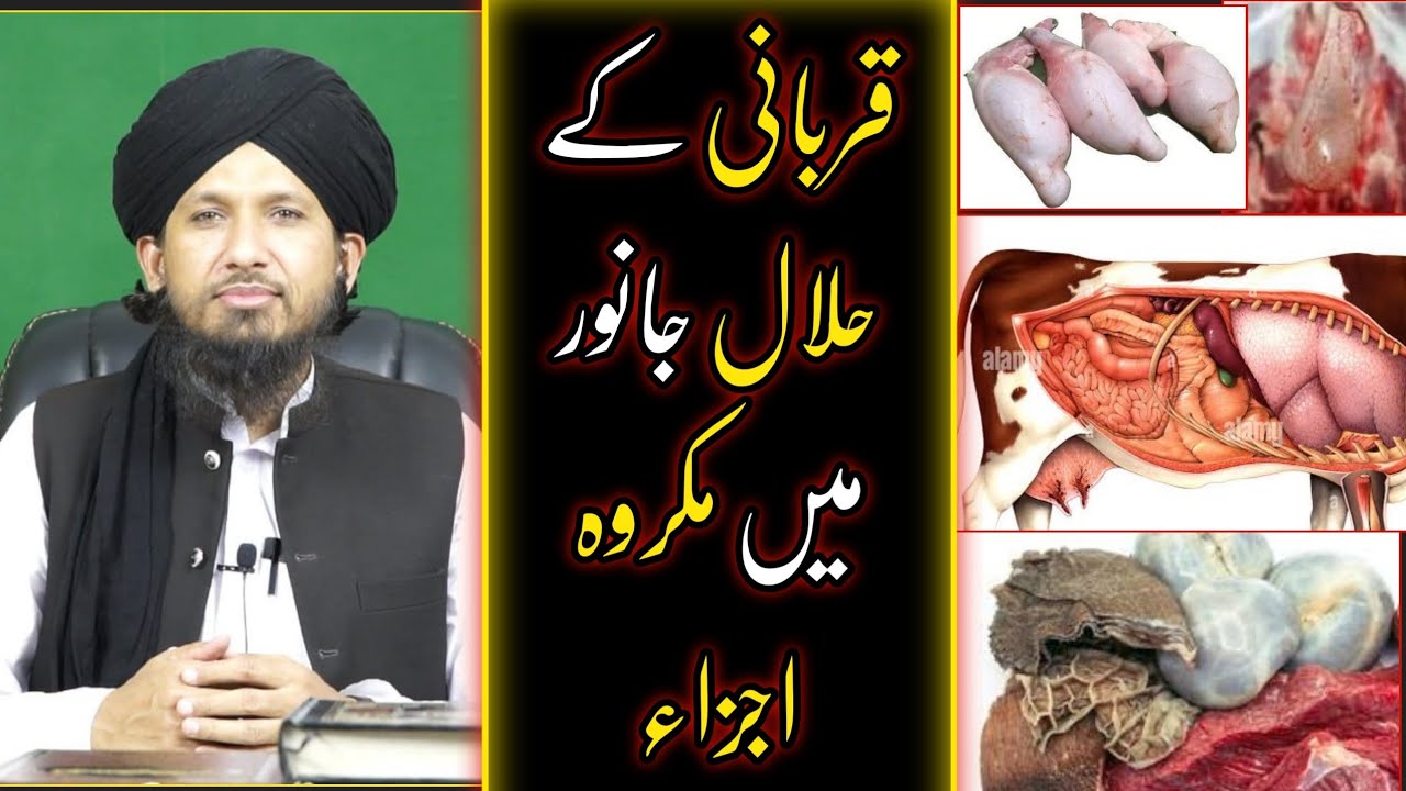 Qurbani KE Halal Janwar Me Makroh Ajza Ojhre & Kapure Ka Hukam? BY Mufti Rashid Mahmood Razvi