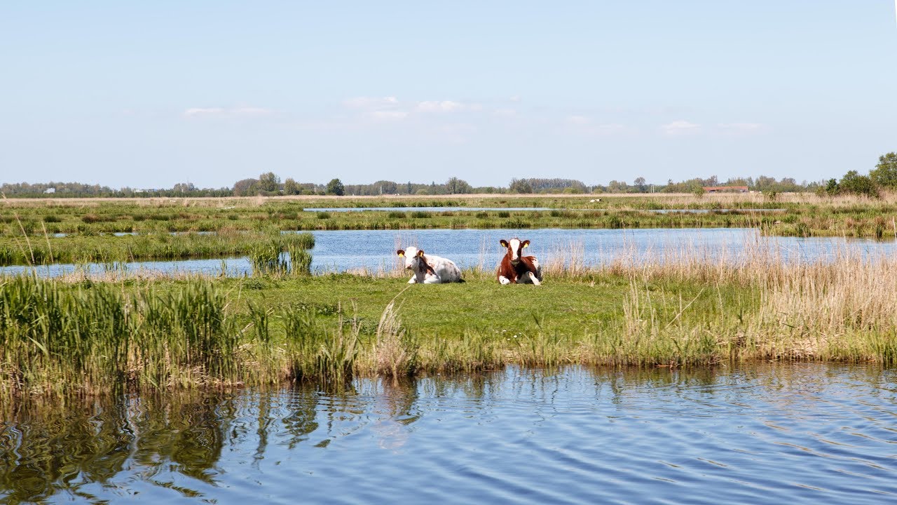 Vaarroute Zaandam - Luijendijksluis/Landsmeer, Variant B (50 min)