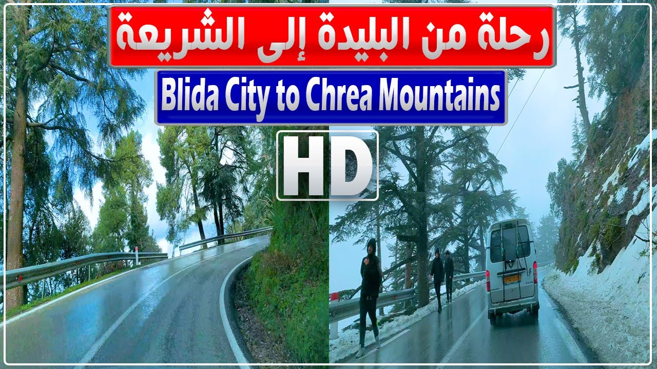 البليدة: جولة من مدينة البليدة إلى أعالي جبال الشريعة | طريق البليدة الشريعة