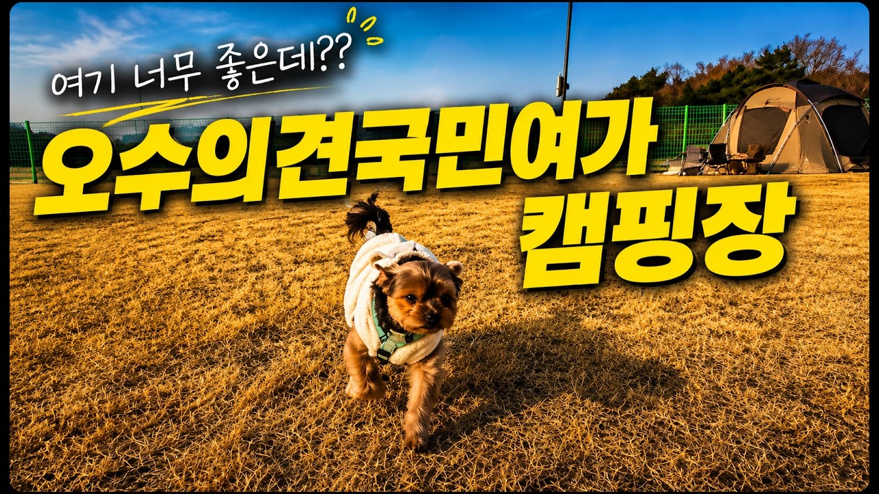 애견캠퍼라면 무조건 가봐야하는 곳~ #오수의견국민여가캠핑장#임실치즈테마파크#011크리에이티브쉘터