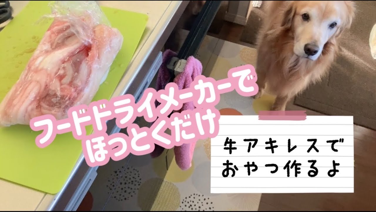 牛アキレスでおやつ作るよ♪