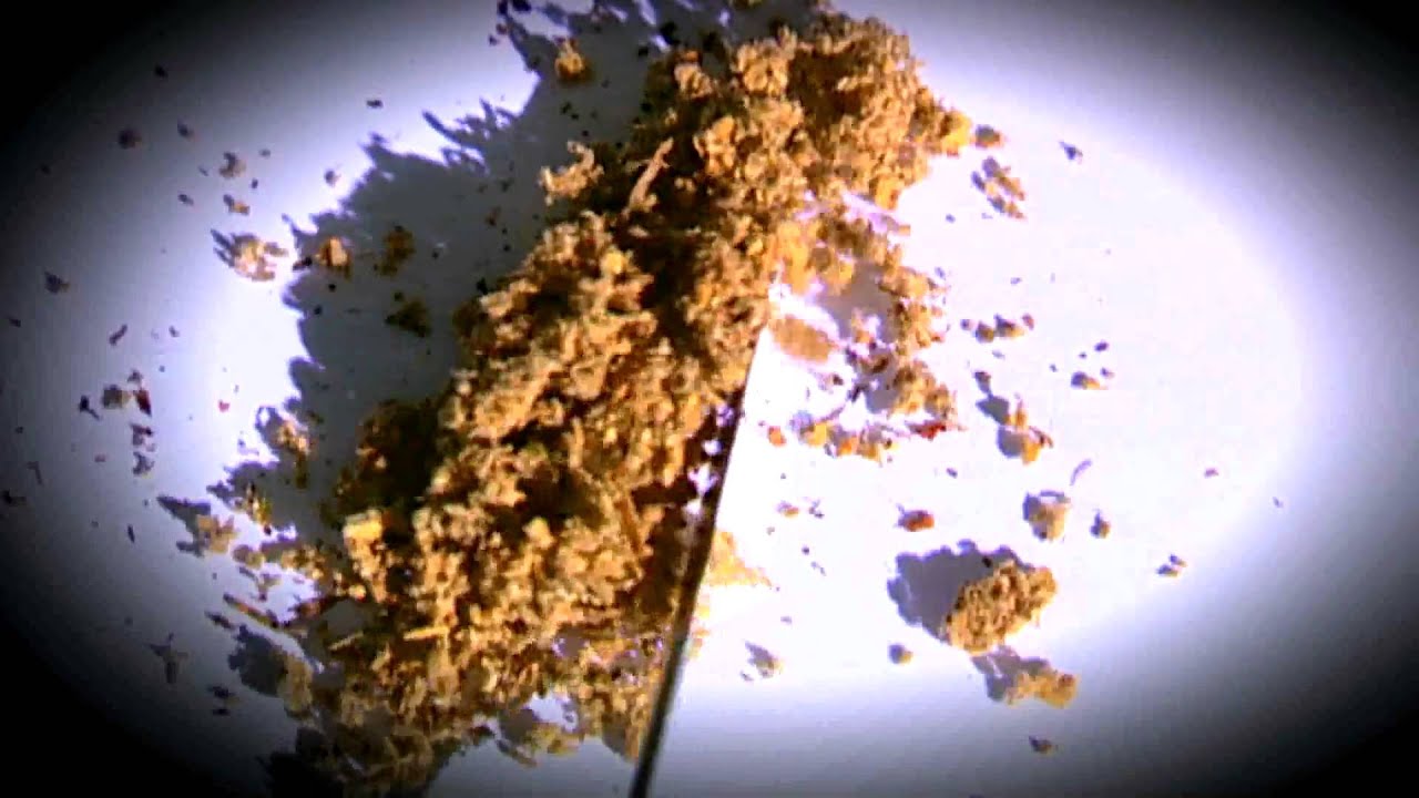 CBS NEWS - SYNTHETIC MARIJUANA