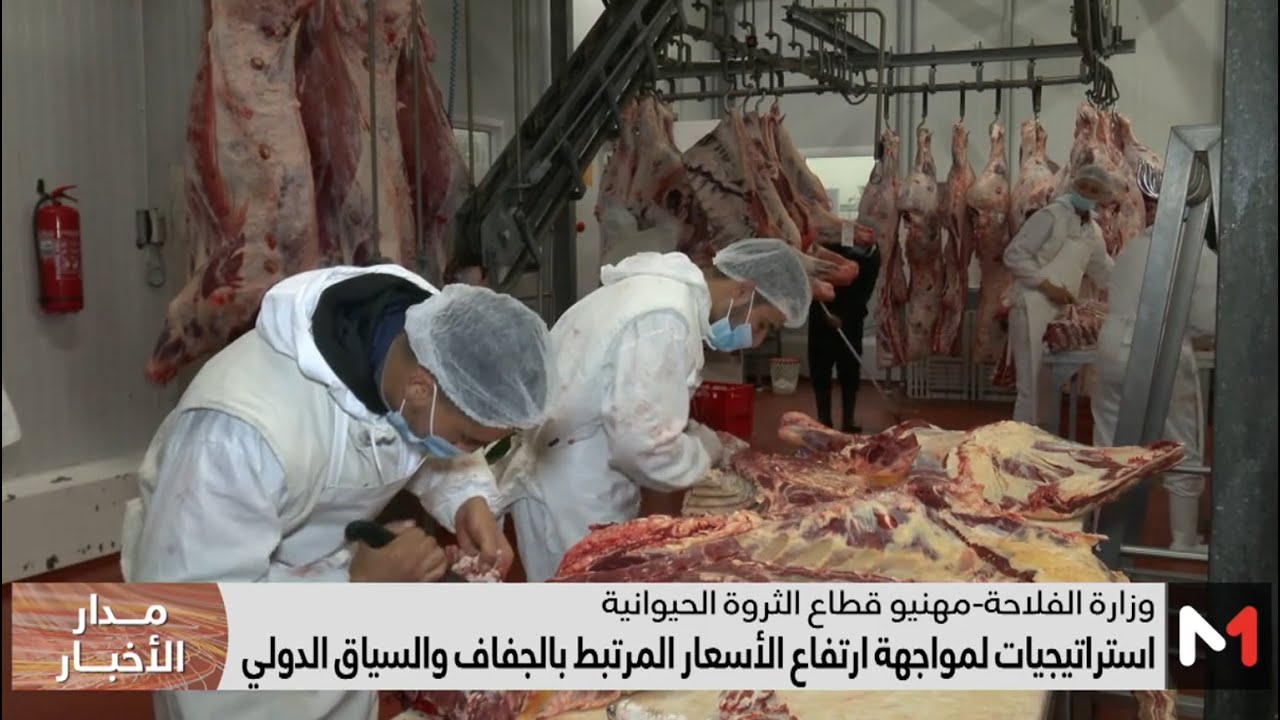 اجتماع مع المهنيين للحفاظ على سلسلتي اللحوم الحمراء والحليب