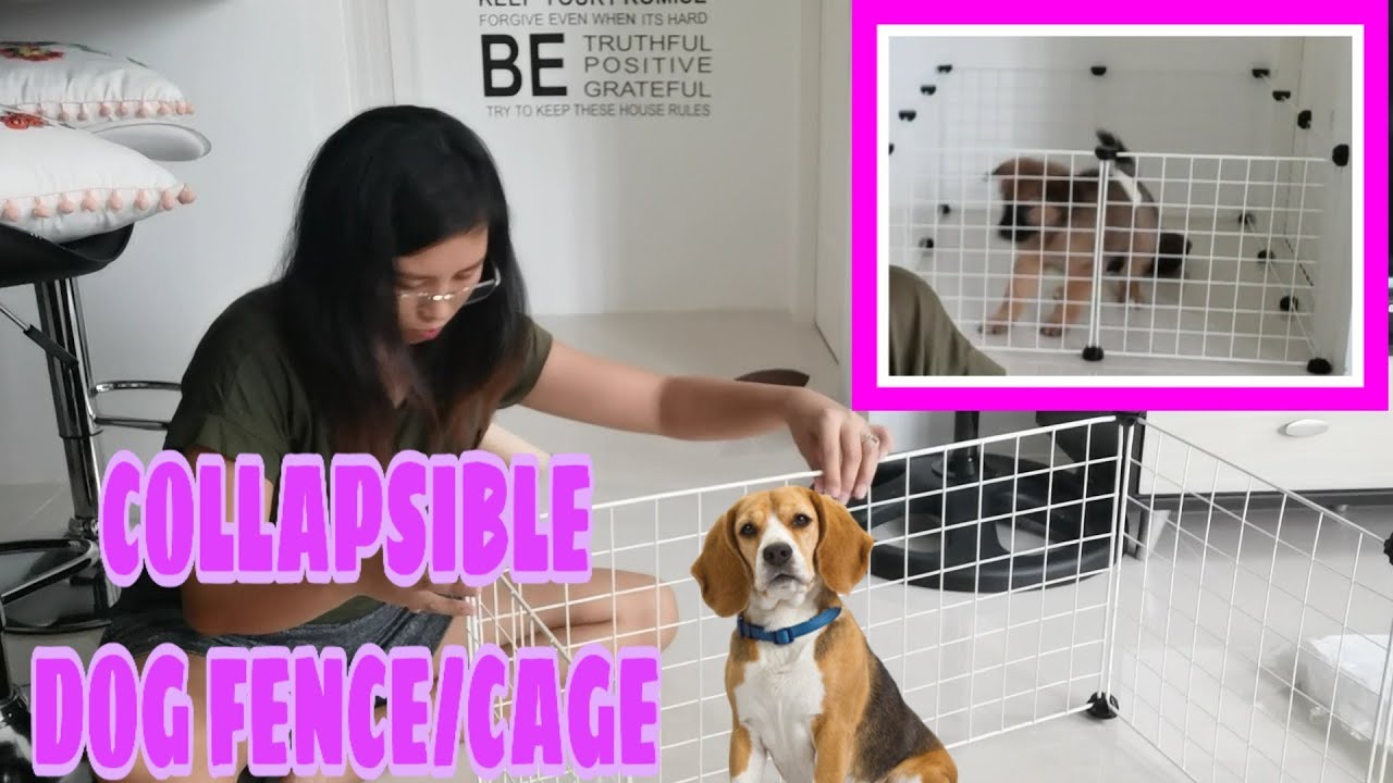 COLLAPSIBLE DOG FENCE/CAGE (10 panels w/o door)