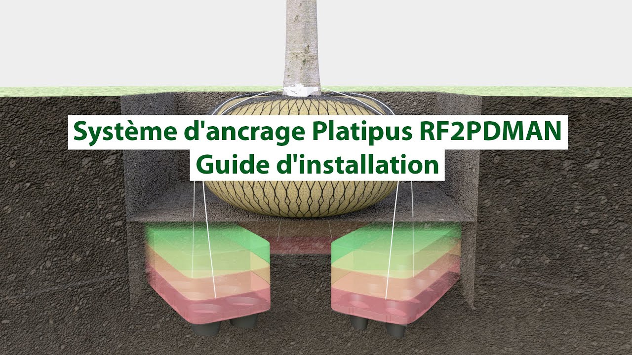 Guide d'installation du système d'ancrage Platipus : RF2PDMAN