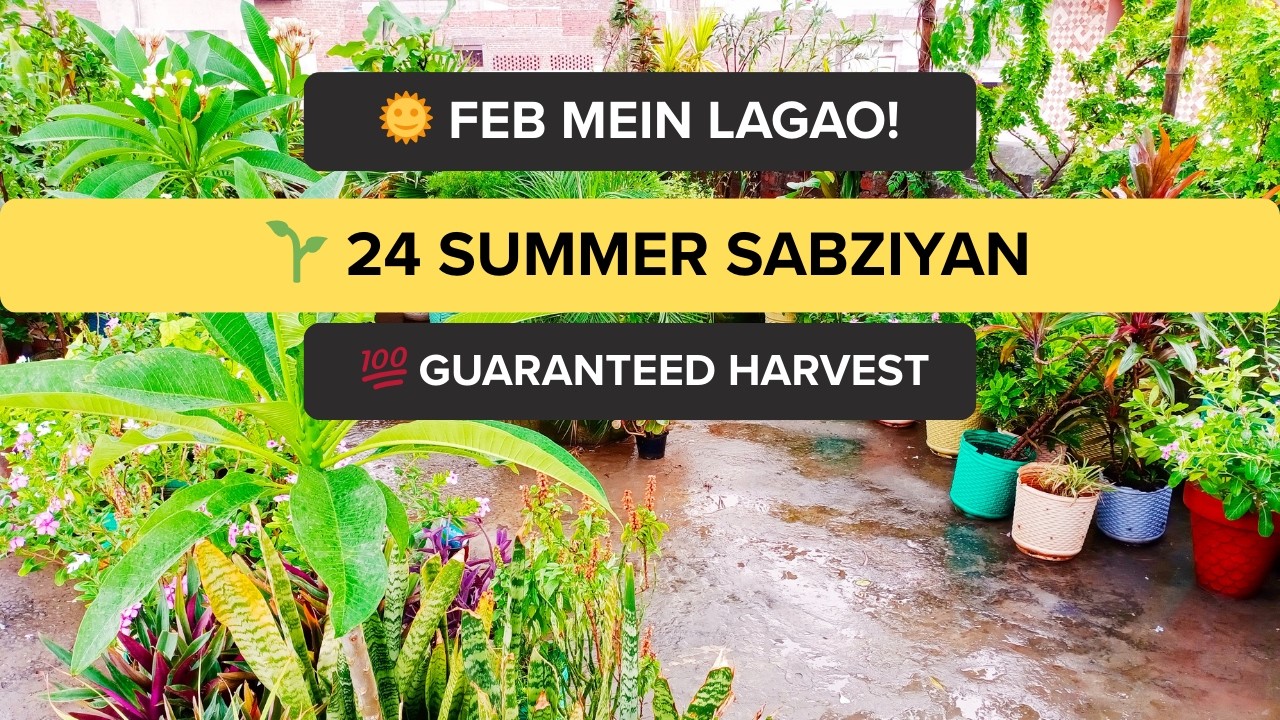 February Mein Lagane Wali 24 Sabziyan 🌱 | Rooftop & Home Gardening | Aasan Gardening