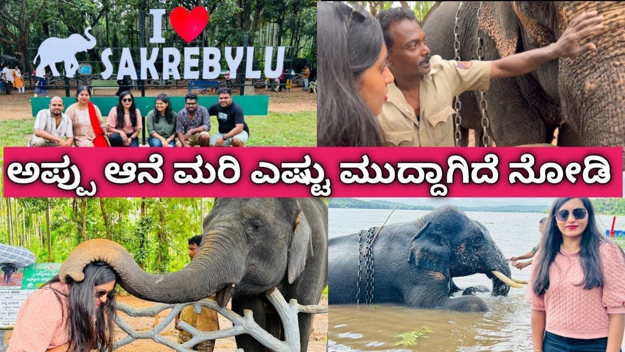 Sakrebailu Elephant Camp complete Details|must vist place in Namma Shivamogga|