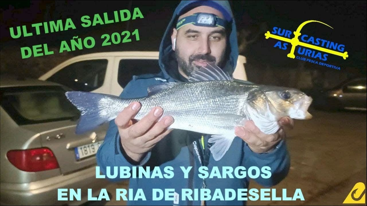 Lubinas y Sargos a Surfcasting en la Ria de Ribadesella
