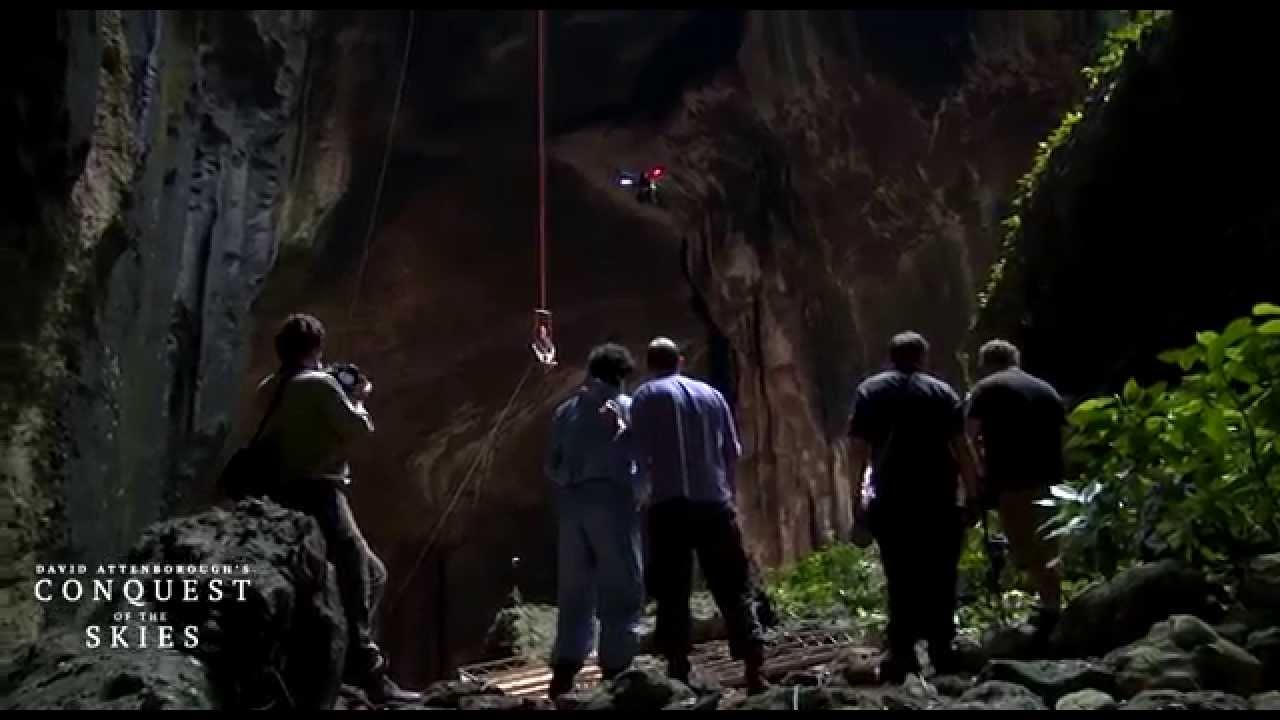 David Attenborough's Conquest of the Skies 3D - The Bat Cave Sequence