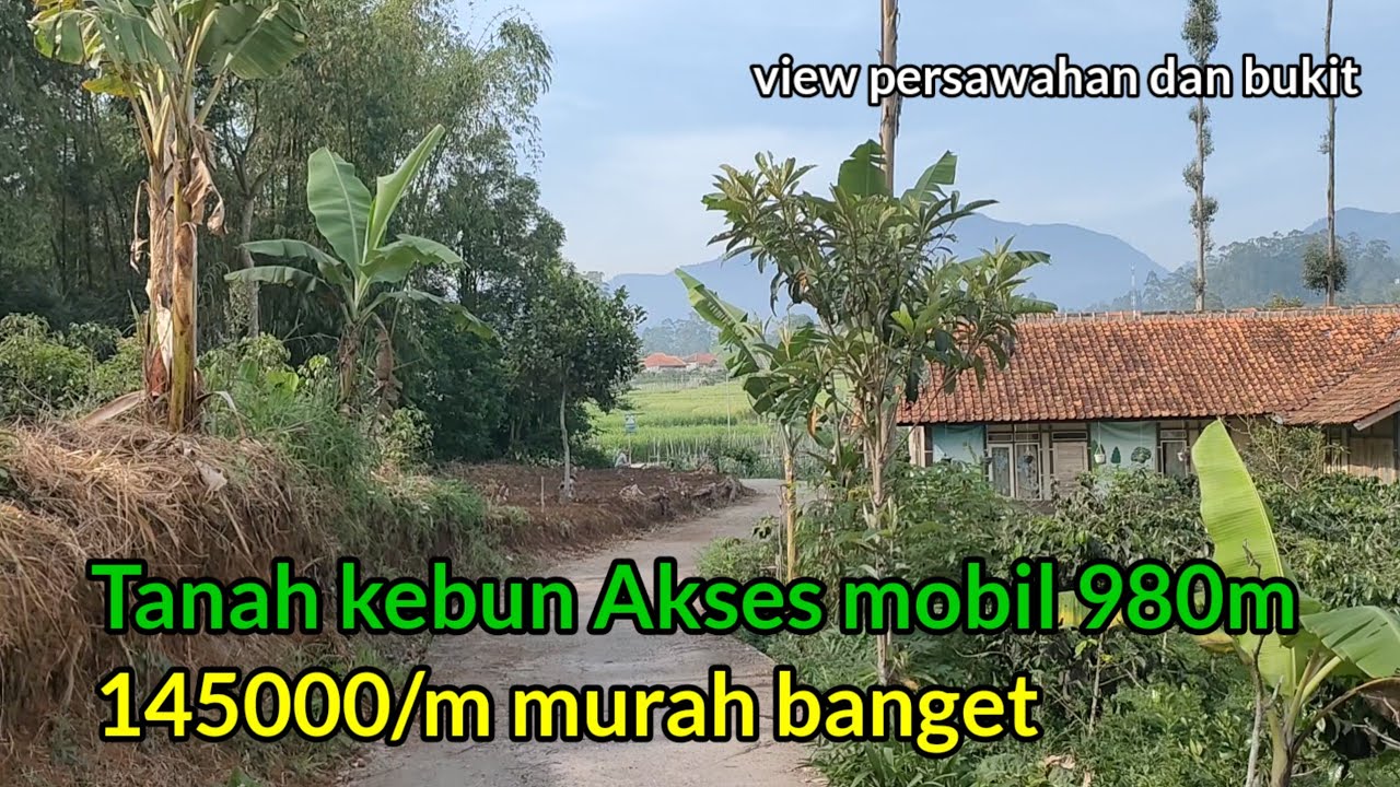 Wow‼️Murah banget 145000/meter Tanah kebun view Sawah dan bukit bikin betah