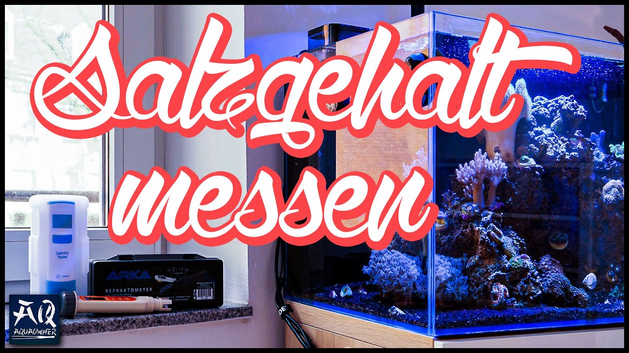 Alles über den Salzgehalt im Meerwasser Aquarium | AquaOwner