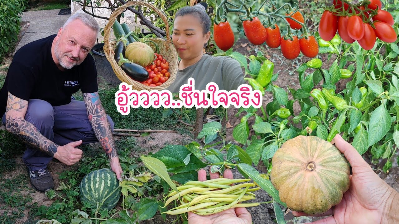 ไปสวนผัก​ ชื่นใจ​ทุกรอบจริงๆ.Ep81/2025