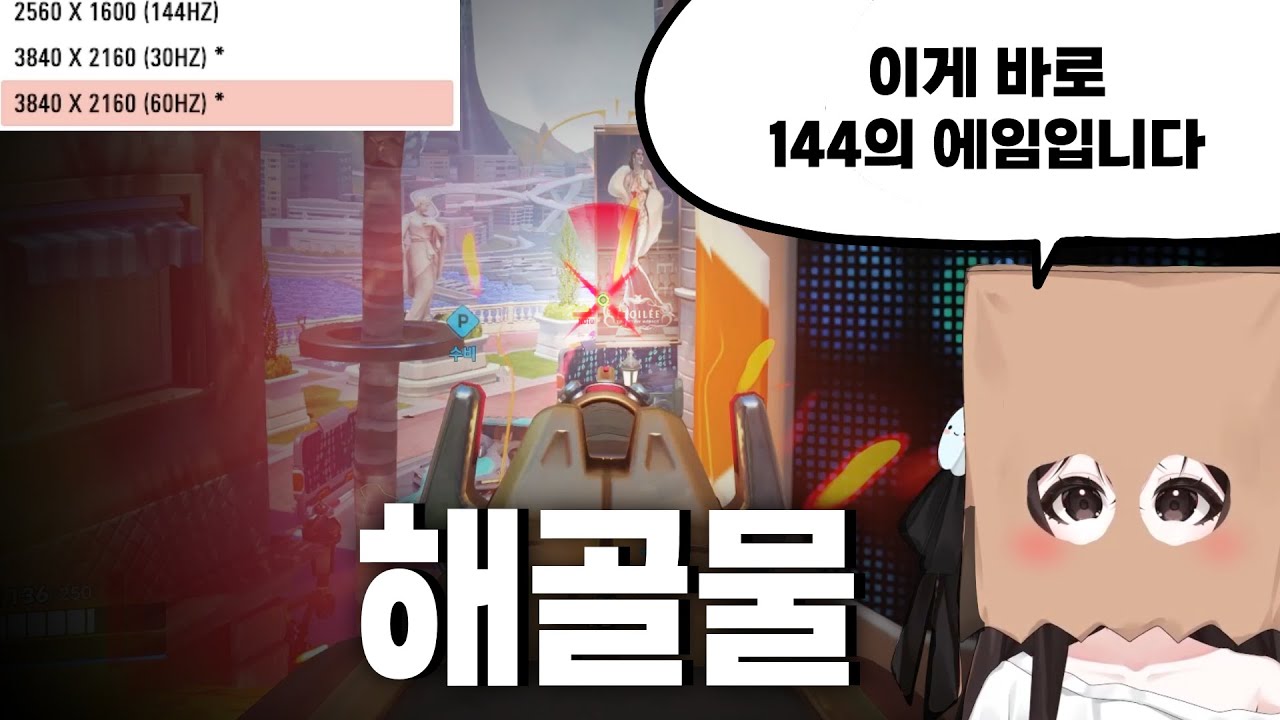 모니터 바꾸고 에임 좋아진 사람