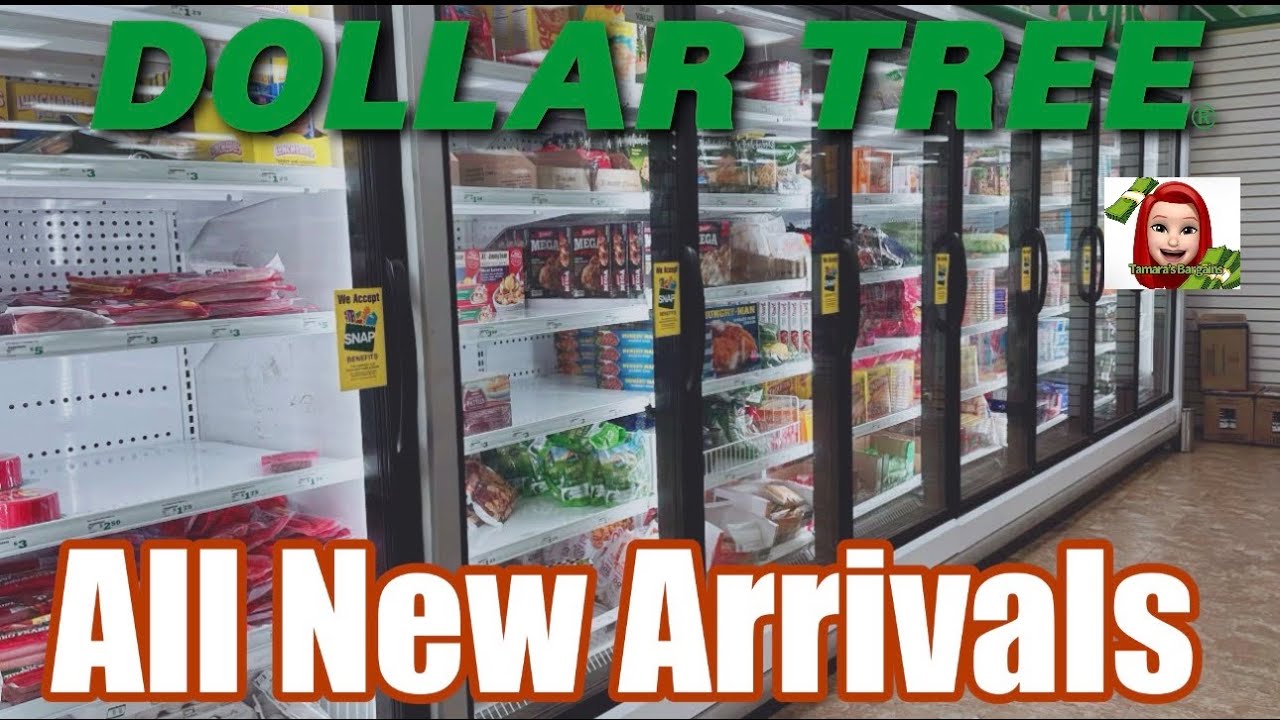 DOLLAR TREE🚨EXCITING NEW $1.25 ARRIVALS #dollartree #shopping #new 