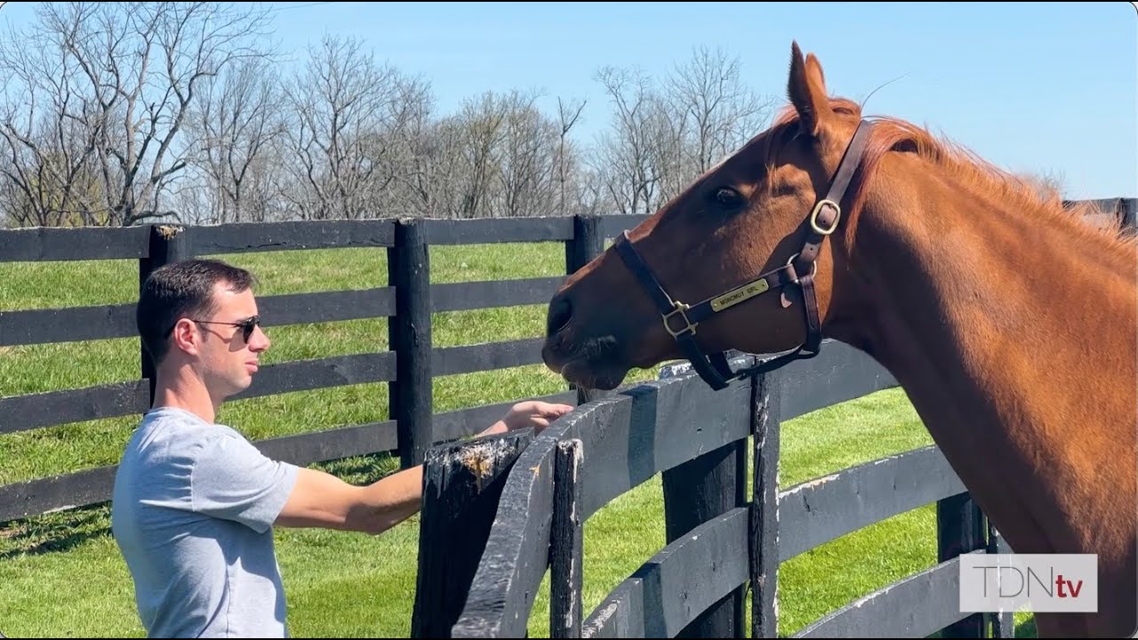 Florent Geroux reunites with Monomoy Girl and meets her first foal