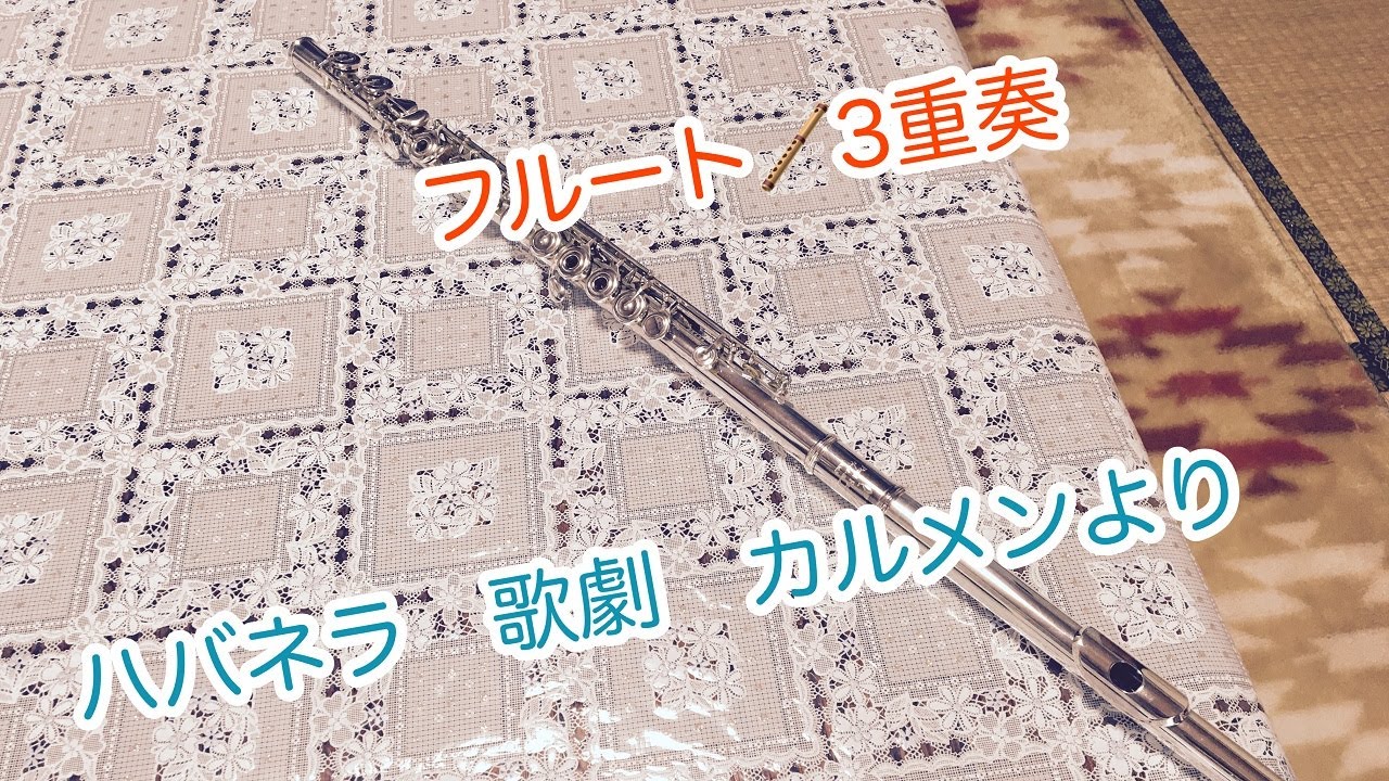 【フルート3重奏】フルート3重奏ハバネラ歌劇カルメンより
