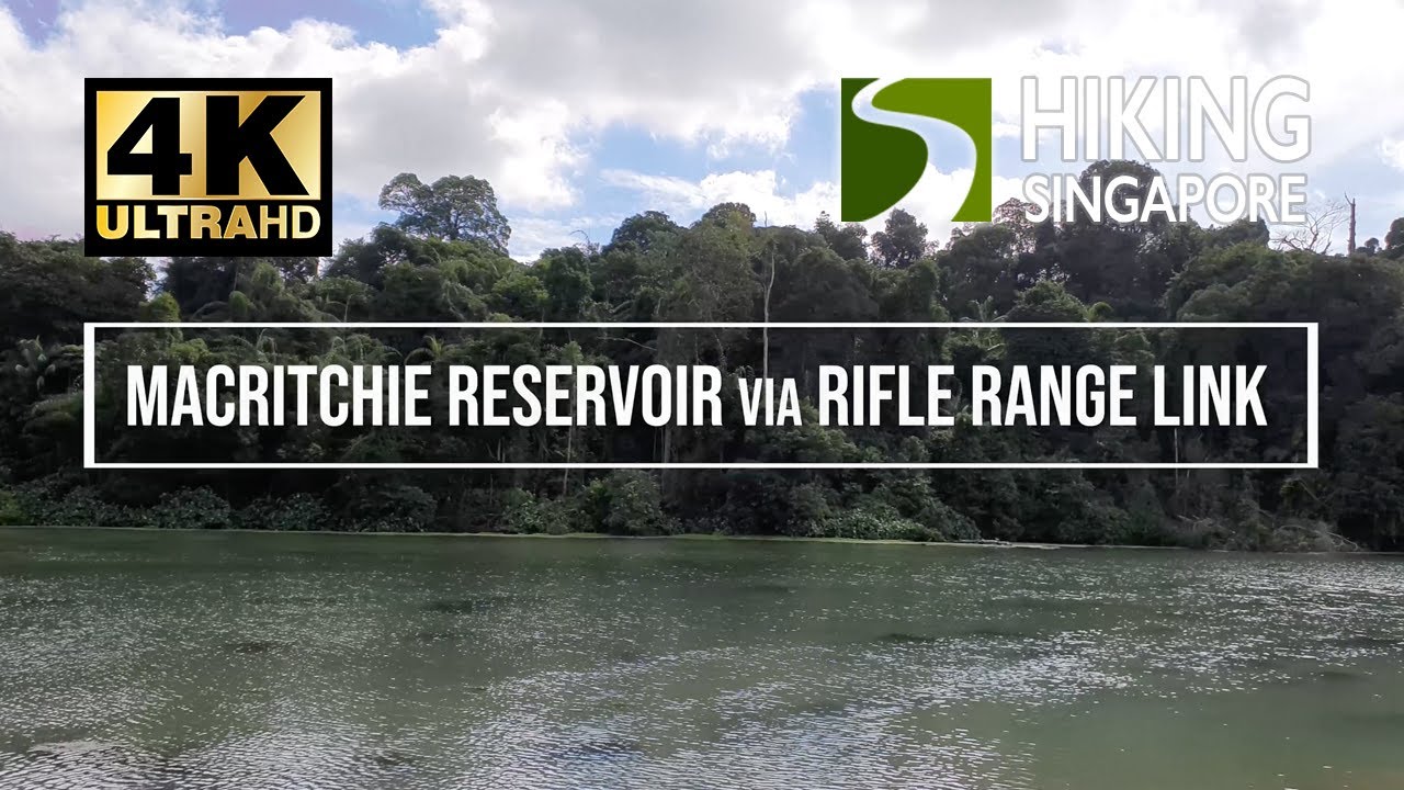 MacRitchie Reservoir via Rifle Range Link - Hiking Singapore [4K] [HDR]