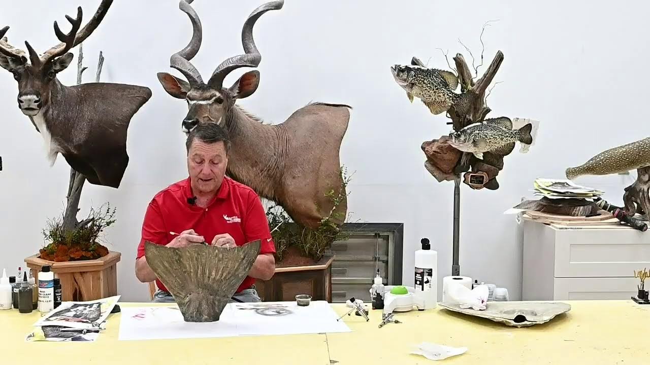 Learn Taxidermy: Airbrush Questions and Answers