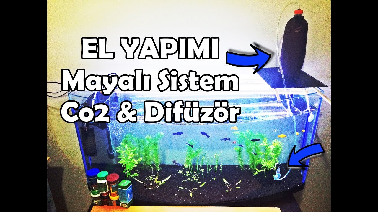 Bitkileriniz Hızlı Büyüsün | Mayalı sistem CO2 ve Difüzör Yapımı !
