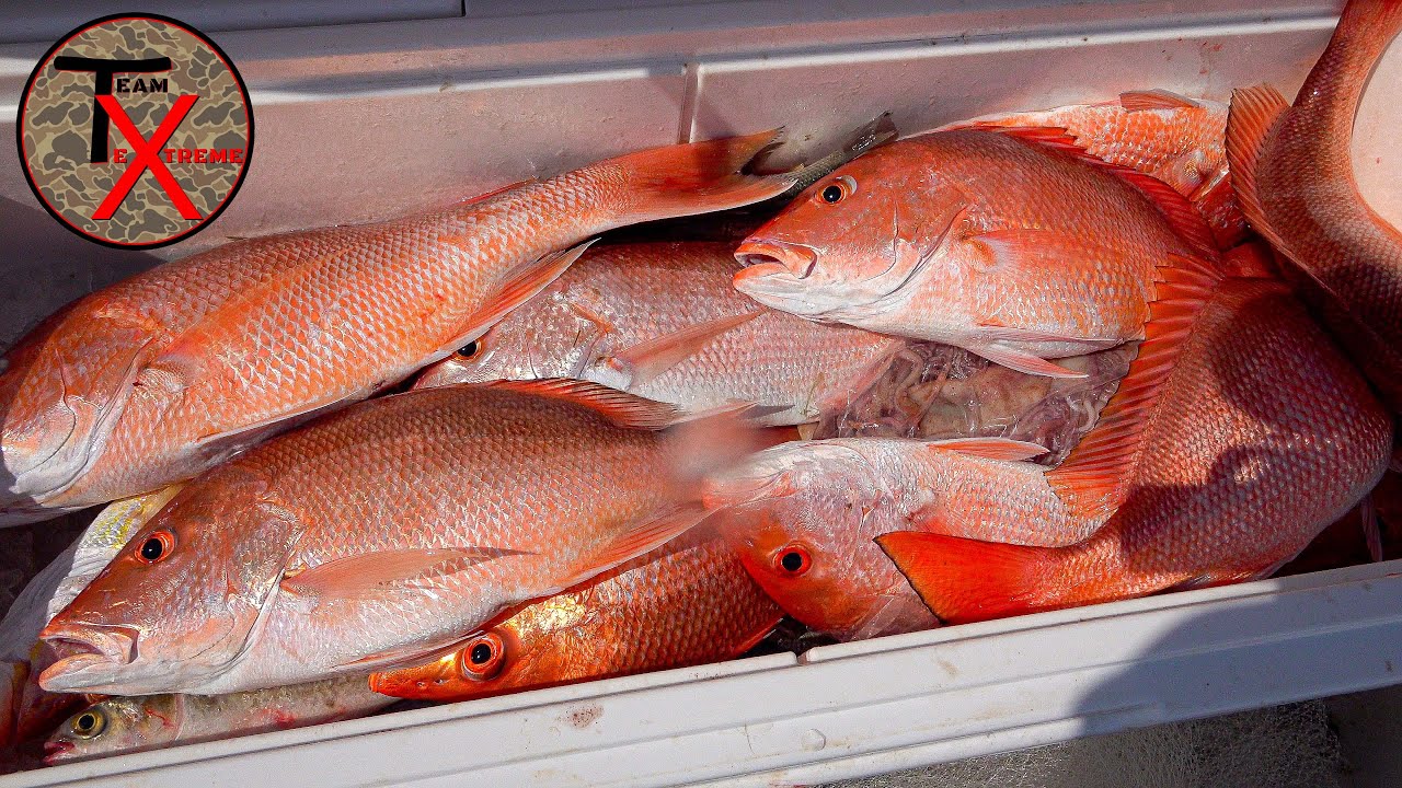 Louisiana Red Snapper Opening Weekend 2023 | Venice Offshore Fishing