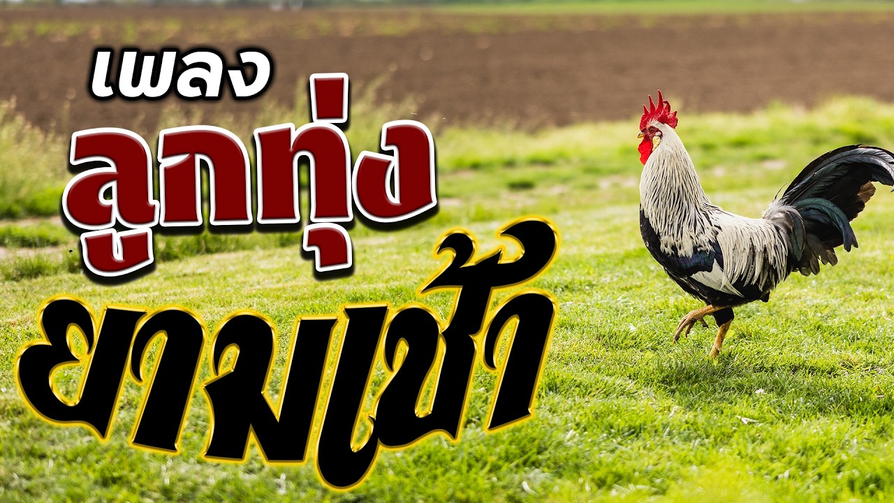 ลูกทุ่ง ฟังสบาย ยามเช้า - คุณภาพเสียงเยี่ยม #มาแรง