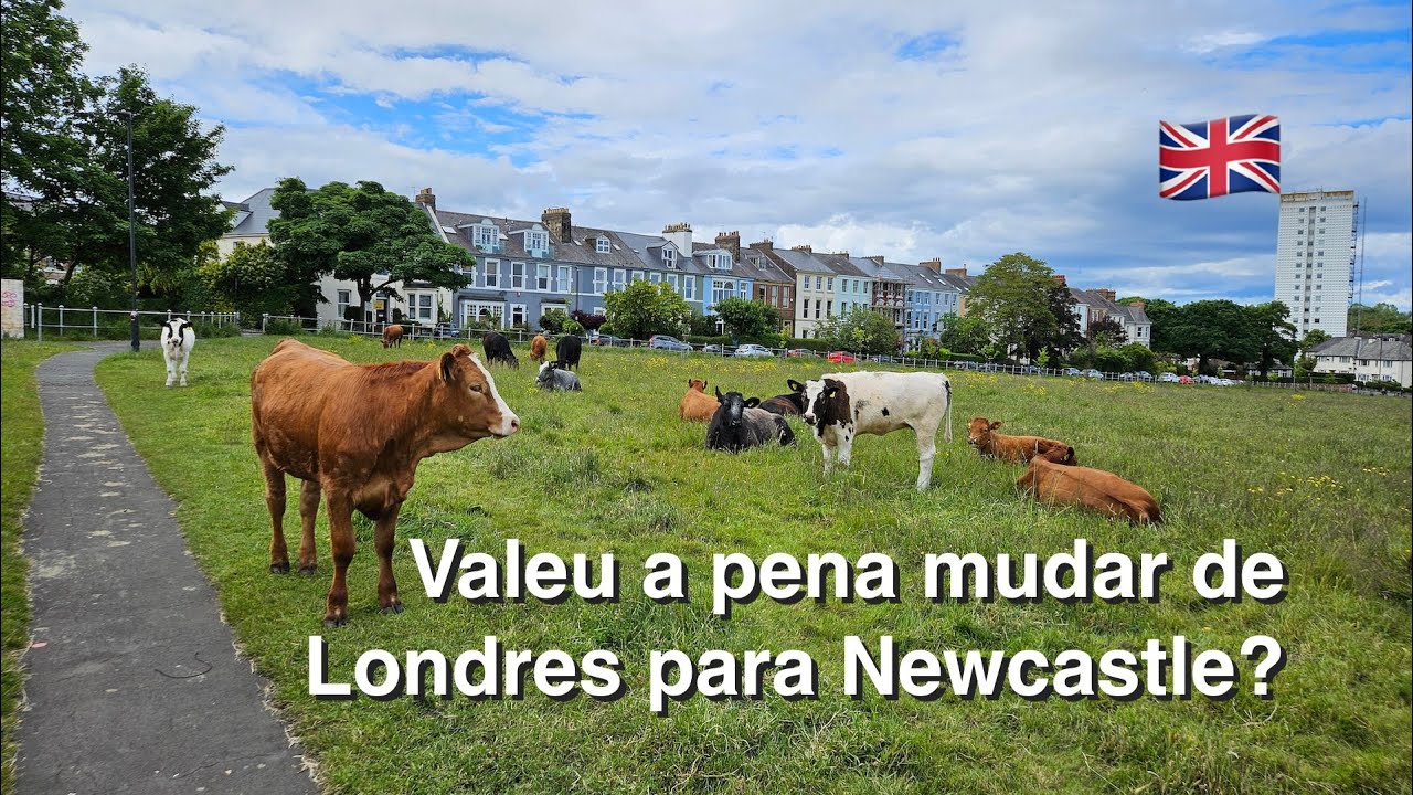 Valeu a pena mudar de Londres para Newcastle?