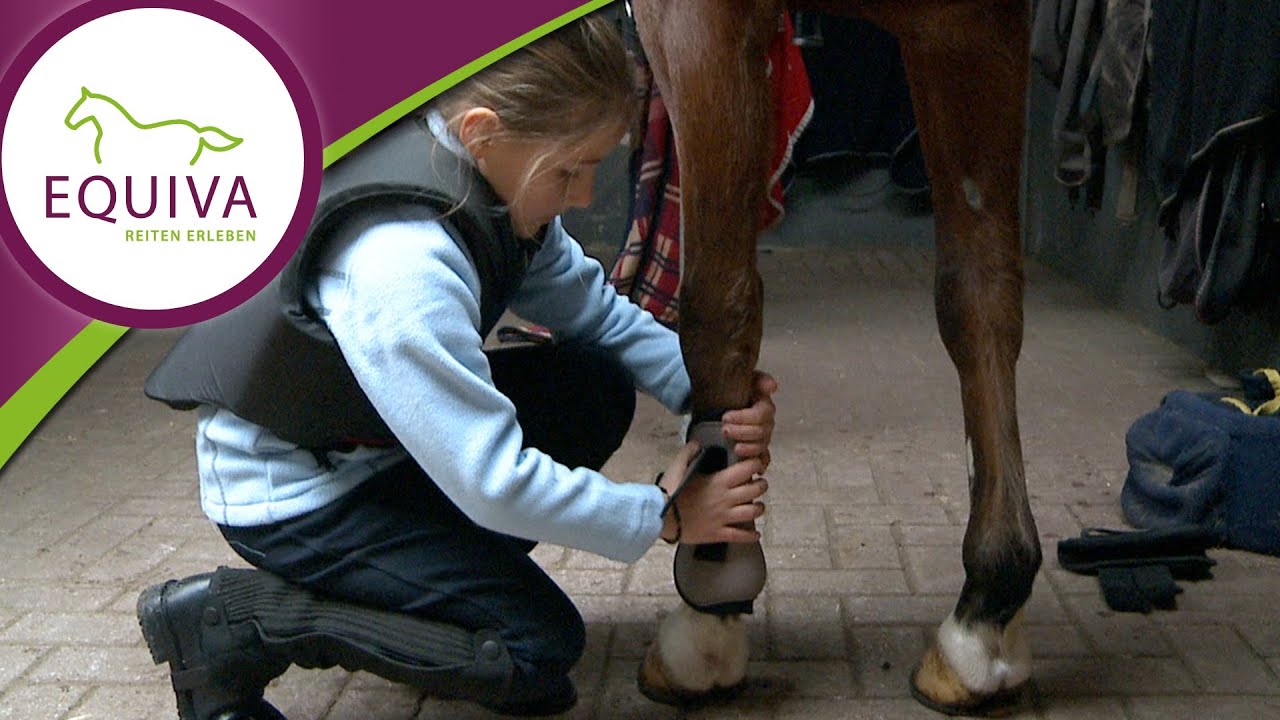 Reiten lernen - Anna und Toni in der Reitschule