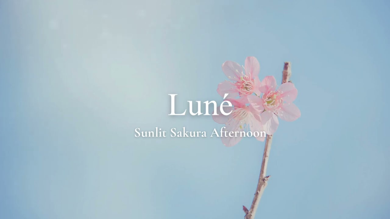 LUNÉ – Sunlit Sakura Afternoon